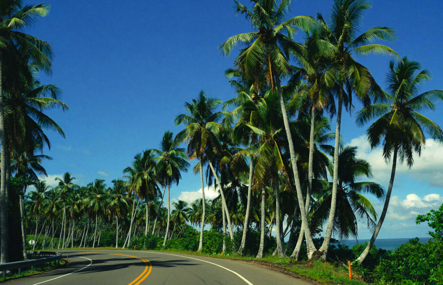 Chegada – Transfer IN (Aeroporto → Hotéis no Litoral Norte)