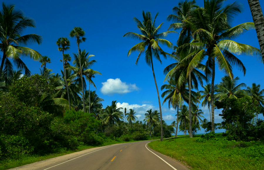 Deslocamento Litoral Norte → Salvador