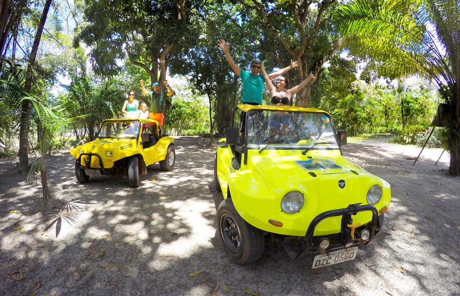 Trilha de buggy pela floresta