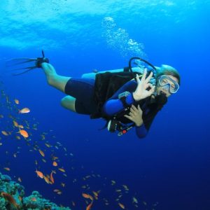 Mergulho nas piscinas naturais – Praia do Forte